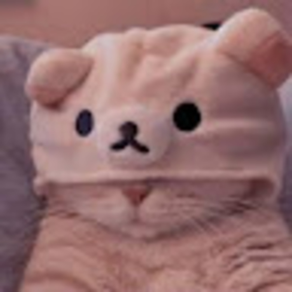 Meet your Posher, Arabella